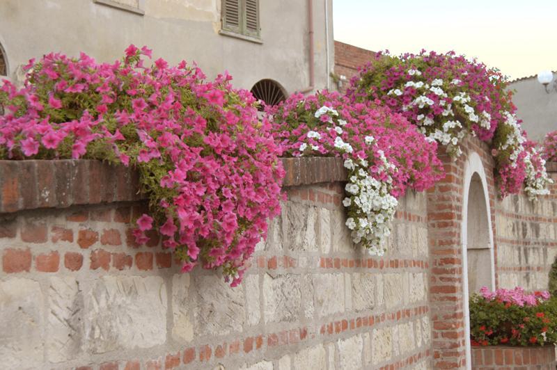 Bed and Breakfast Benvenuti Altrove Cella Monte Екстер'єр фото